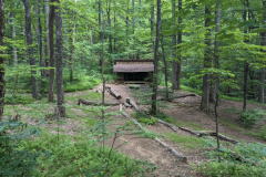 PXL_20230705_131940891