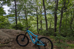 PXL_20230705_133436070