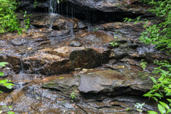 PXL_20230705_140853922