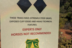 PXL_20230715_145919042