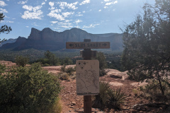 PXL_20230715_150211687