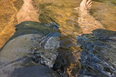 PXL_20230715_161209486.MP_