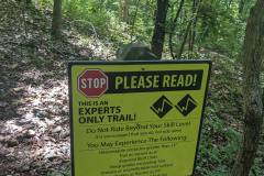 PXL_20230708_163250135