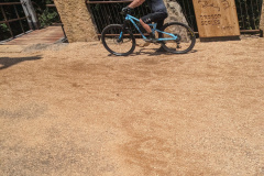 PXL_20230708_171016992.NIGHT_