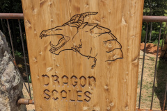 PXL_20230708_172539708