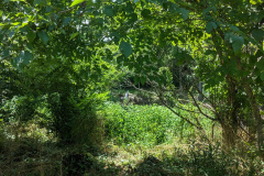 PXL_20230708_192904939.MP_