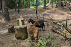 PXL_20230702_184026009