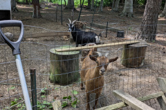 PXL_20230702_184038978