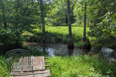 PXL_20230702_184623110.MP_