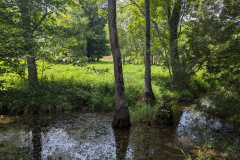 PXL_20230702_184656000