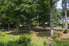 PXL_20230702_184718058