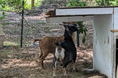 PXL_20230702_184940535