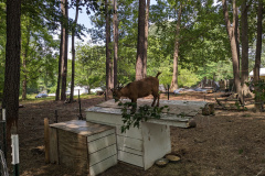 PXL_20230702_185029378