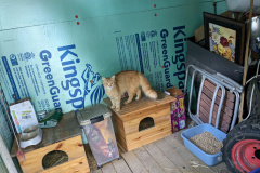 PXL_20230702_203726037.MP_