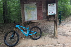 PXL_20230701_182049387