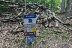 PXL_20230701_190512992.MP_