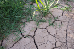 PXL_20230711_131554319