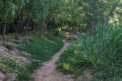 PXL_20230711_131709363