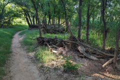 PXL_20230711_131733780