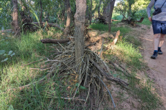 PXL_20230711_131745959