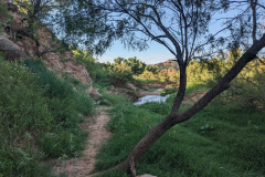 PXL_20230711_132019840