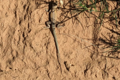 PXL_20230711_142323521