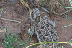 PXL_20230711_144007138