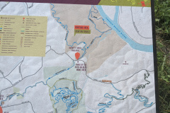 PXL_20230706_122429489