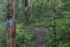 PXL_20230706_123142317