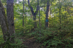 PXL_20230706_123158902