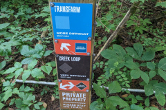 PXL_20230706_125048263