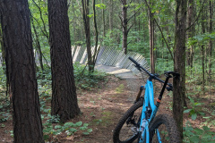 PXL_20230706_130834539