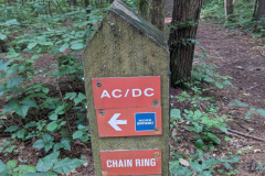 PXL_20230706_130845955