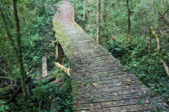 PXL_20230706_132548583