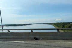 PXL_20230706_230823455