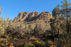 PXL_20230717_011805262