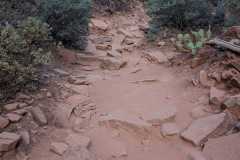 PXL_20230717_013128351