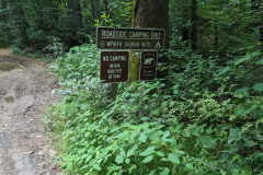 PXL_20230704_125537200