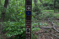 PXL_20230704_144221613