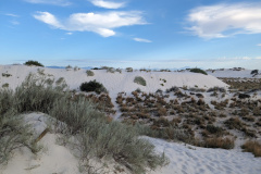 PXL_20230713_131636840