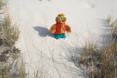 PXL_20230713_135939635