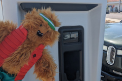 PXL_20230713_222459208