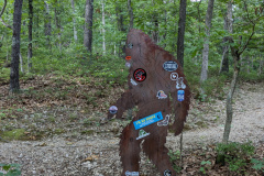 PXL_20230707_224520339.MP_