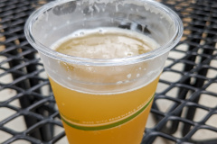 PXL_20230707_231717221