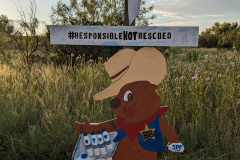 PXL_20230711_012940769