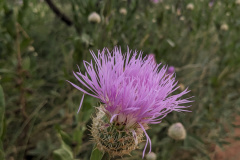 PXL_20230711_013019895