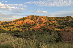 PXL_20230711_013256391