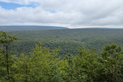 PXL_20230729_152835006