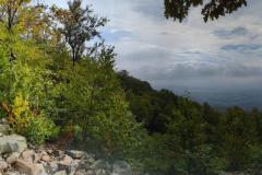 signal-2023-07-29-14-14-34-088