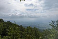 signal-2023-07-29-14-14-41-902